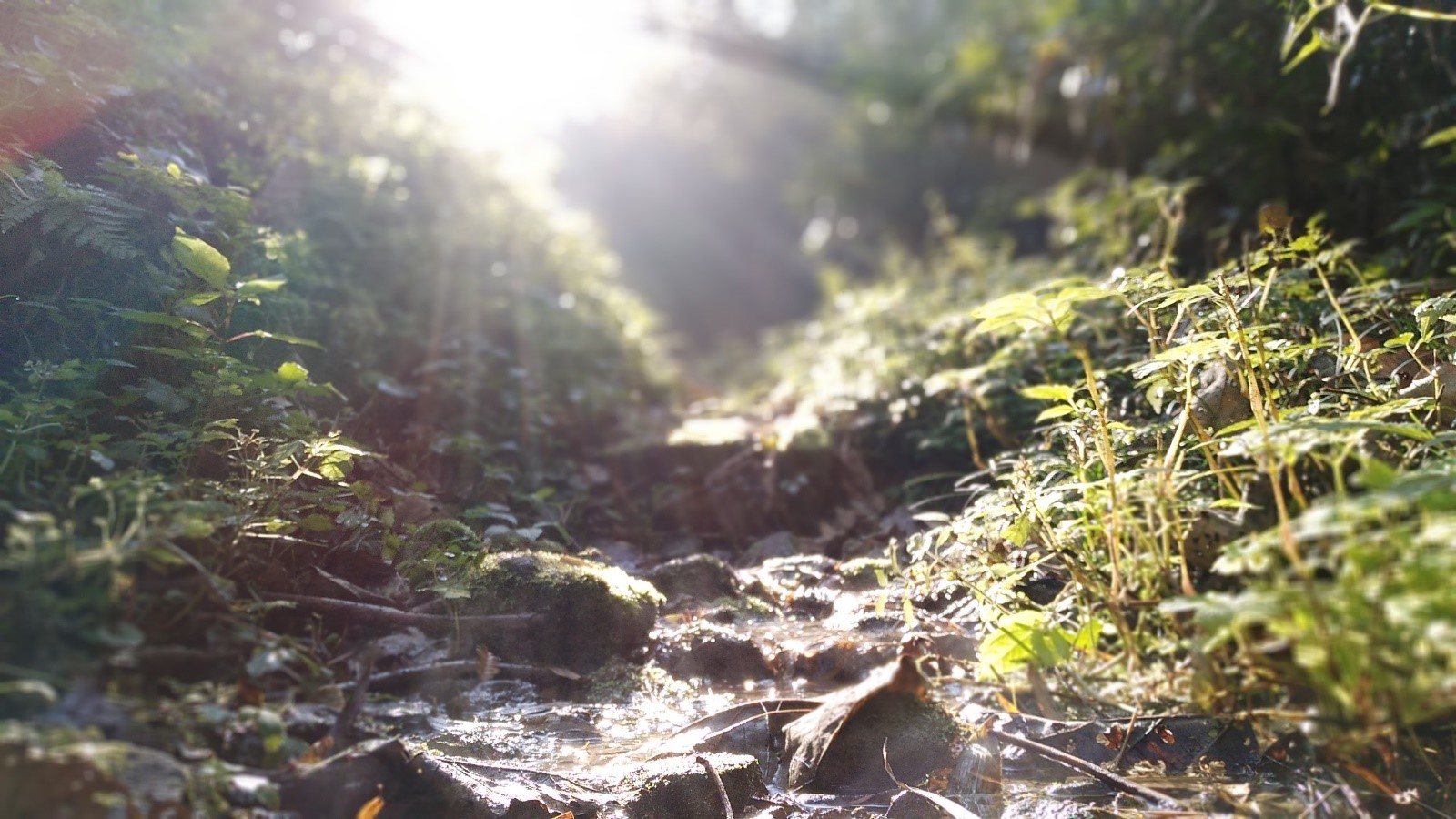 vivox9的舒适瞬间,vivox9小细节