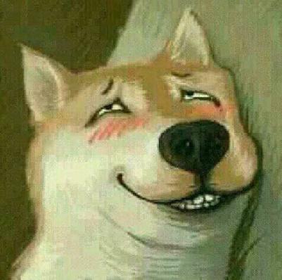 选择汪星人只看价格?真实经历告诉你为何不要贪便宜