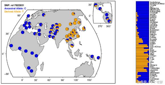 关于狐臭你应该知道的小秘密,狐臭科普视频
