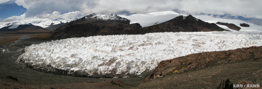 荒野求生秘籍完整版,荒野自救教程