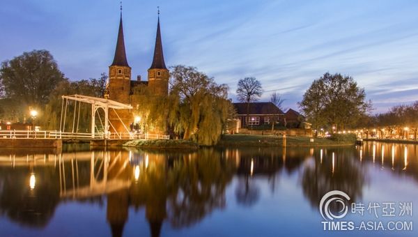 荷兰花海郁金香花语炙热的爱,郁金香花海的花语