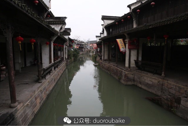 古镇寻肉记:那些旅行中遇见的植物!