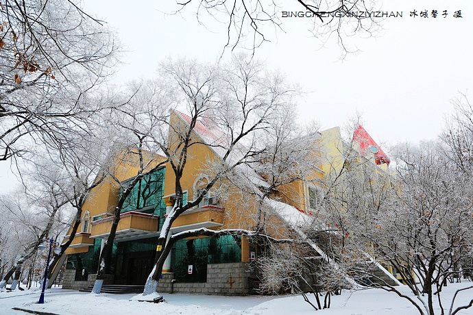 哈尔滨太阳岛的冬天照片,哈尔滨太阳岛的冬天有多美