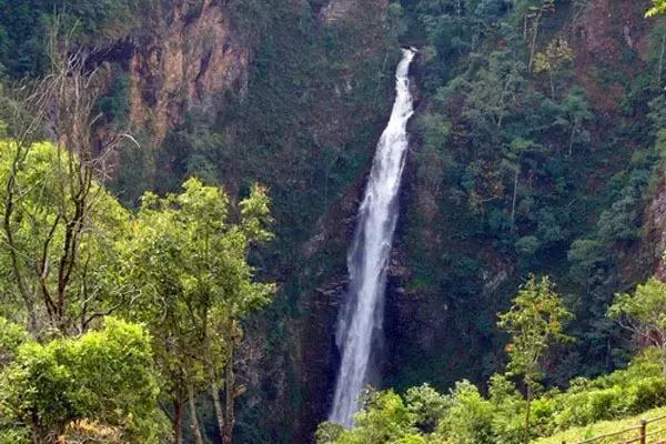 和大象拔河比赛,大象跟大象拔河