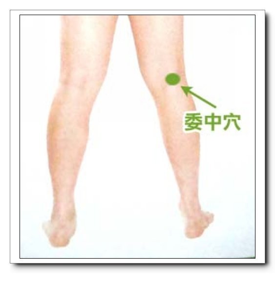 字里藏医解读,字里藏医