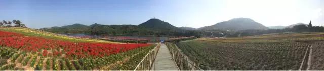 广东冬天看雪的最佳旅游地,广东周边冬天看雪最适合去哪旅游