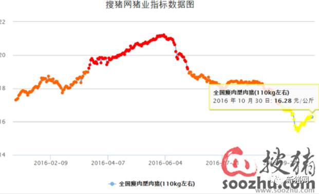 挥别16金猪年迎接17银猪年