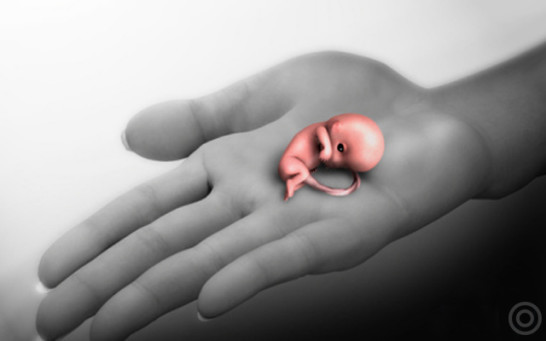 人流和堕胎有什么区别,打胎对男人的危害