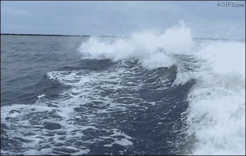 异地女友寄的一箱礼物,异地恋对象邮来的礼物