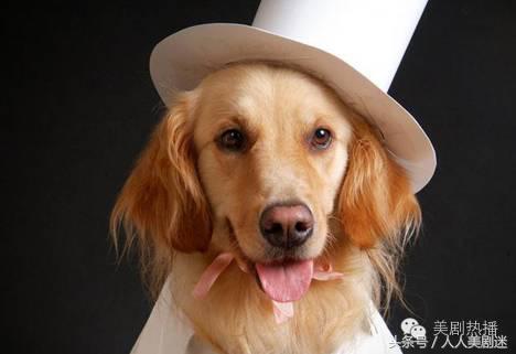 刺激？恐惧？流行？我们为什么对行尸走肉情有独钟！