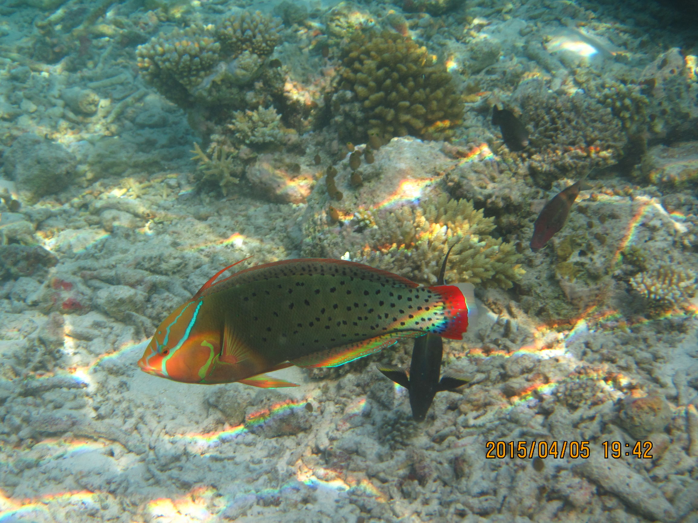 马尔代夫最美景色,最美马尔代夫风景