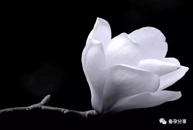 雌二醇低怀孕的几率多少,雌二醇低还能准备怀孕吗