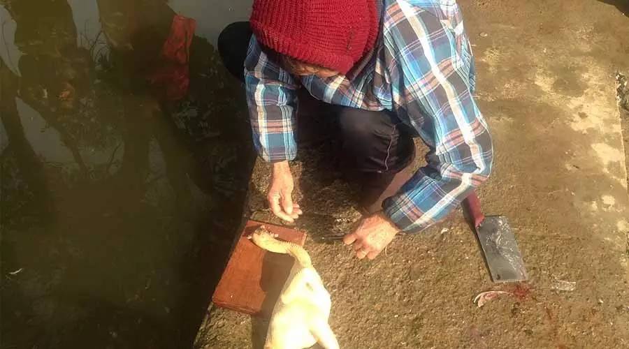 南京长街宴图片,高淳长街宴老字号