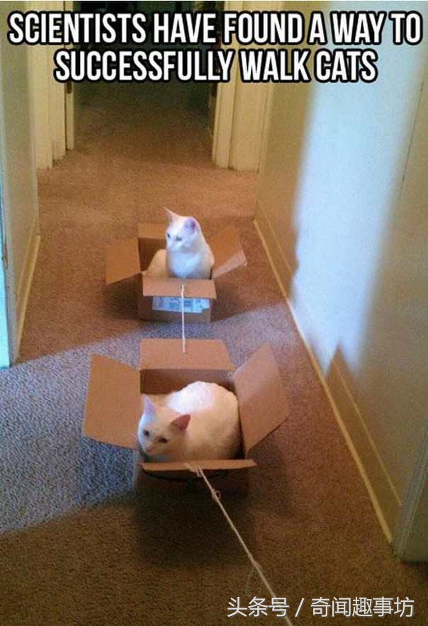 loewe包包怎么辨真假,阿玛尼包包怎么鉴别