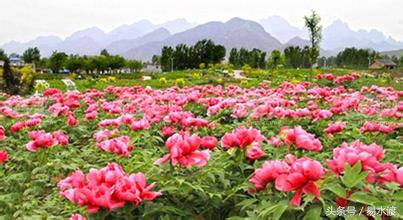 易县介绍在哪里,易县哪儿可以看玉的真假