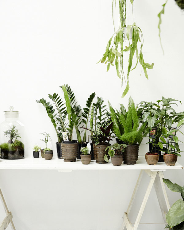 你有没有想过开一家花店呢 (要有一颗文艺心才能开一个花店)