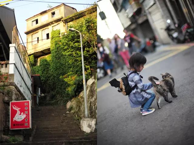 台北五日游亲子攻略,儿童台北旅游攻略