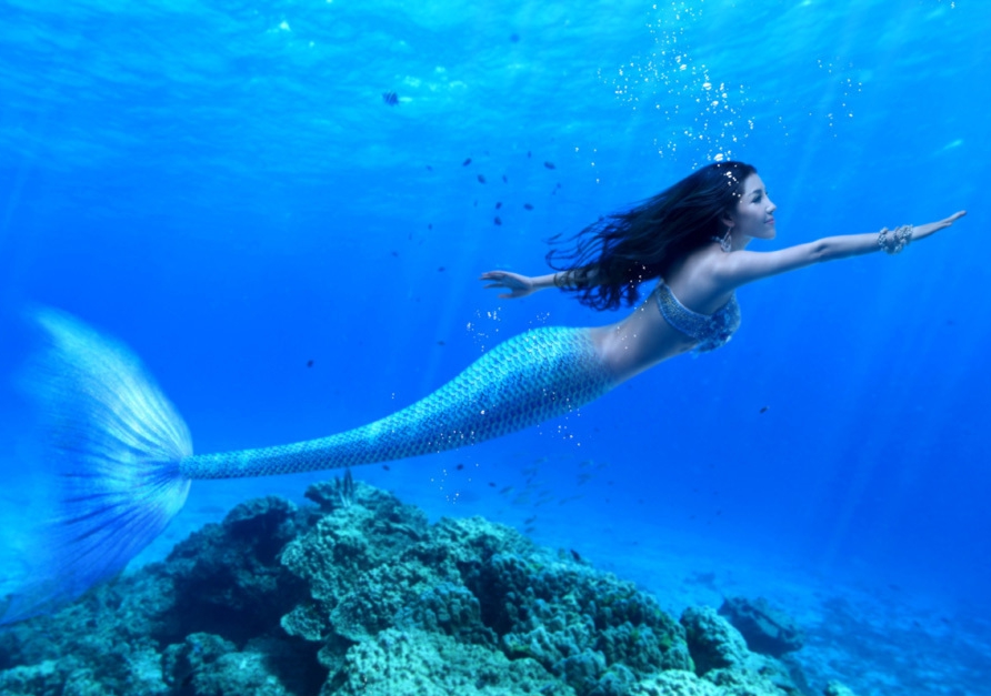 高票房下的《美人鱼》浅谈谁是装修app界的星爷？