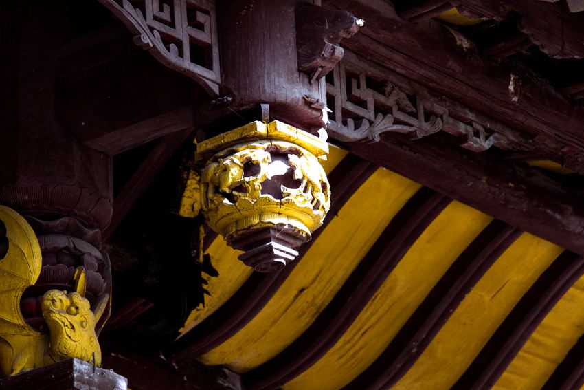 活着的国宝――荥经云峰寺内的桢楠王