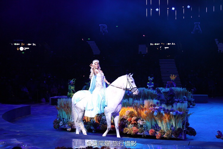 珠海长隆大马戏最佳观看位置,珠海长隆大马戏和长隆秀一样么