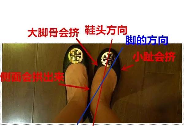 谣言粉碎机你都上当了吗,谣言粉碎机图片