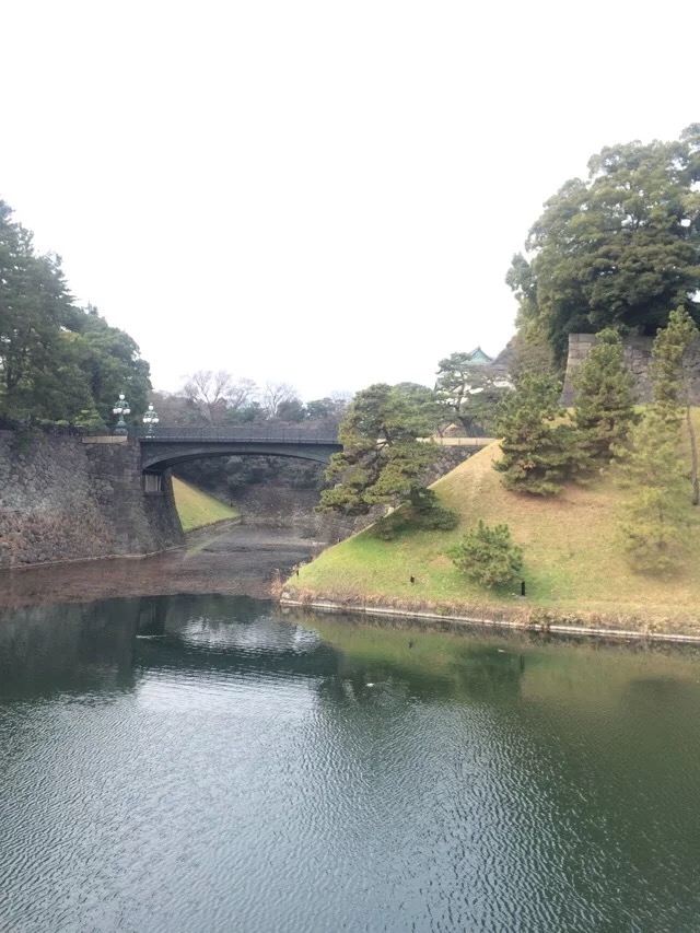 日本旅游马桶,日本旅游购物攻略一览表