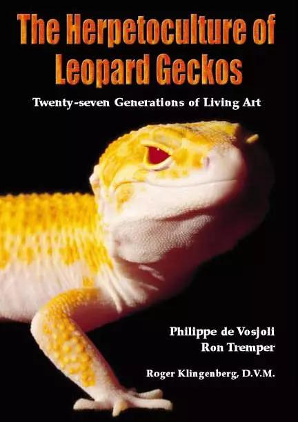 豹纹守宫的品种大全,豹纹守宫好养品种