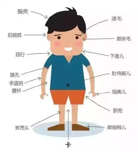 “过捧，莫cào哈！cào烂了不好卖”重庆人秒懂！