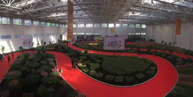 您好，2017年｜阳光灿烂，花果飘香，迎新年这些地方你不得不去！