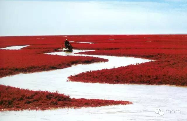 中国十四天旅行攻略 (顺着24节气游遍中国)