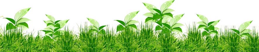 尿疗健康养生知识,养生尿疗