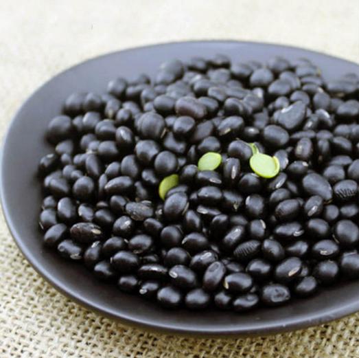 拿什么拯救你发际线？为脱发人群开一扇窗，长出一头浓密发