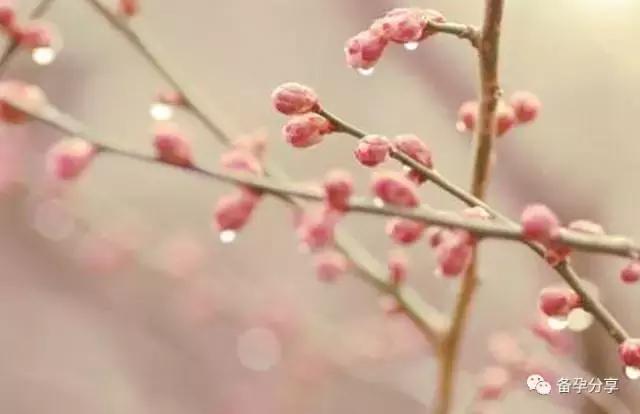 上次胎停育了,再次备孕该怎么做能避免呢?