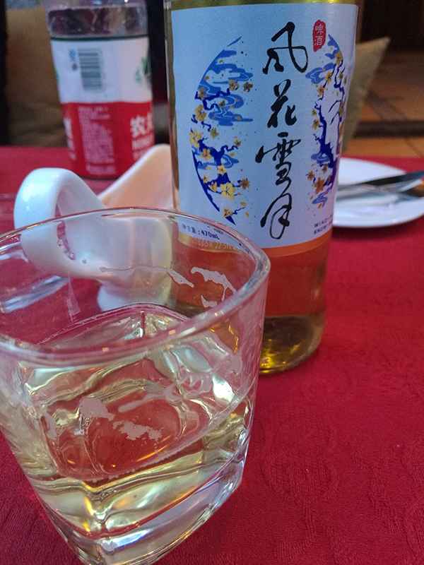 滇藏219线骑摩托进藏最全攻略,2021滇藏进藏自驾游