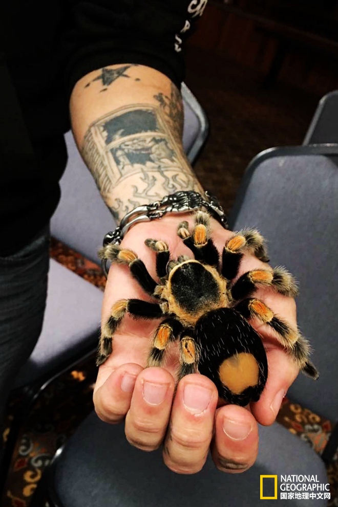 图森仙人掌,图森地理位置