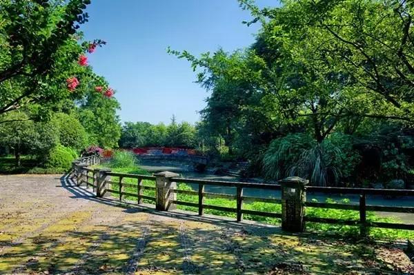 在低密地块上放弃高低配这家开发商在想什么？