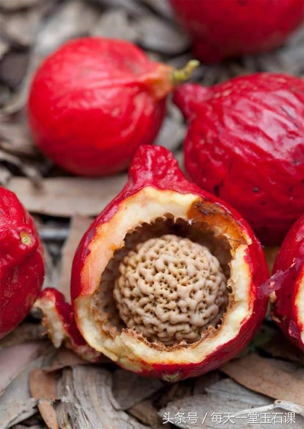 最不值得收藏的手串,六种被吹上天却没用的东西