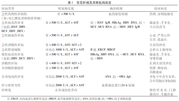 看肝功能报告单视频,教你看懂肝功能检查结果分析