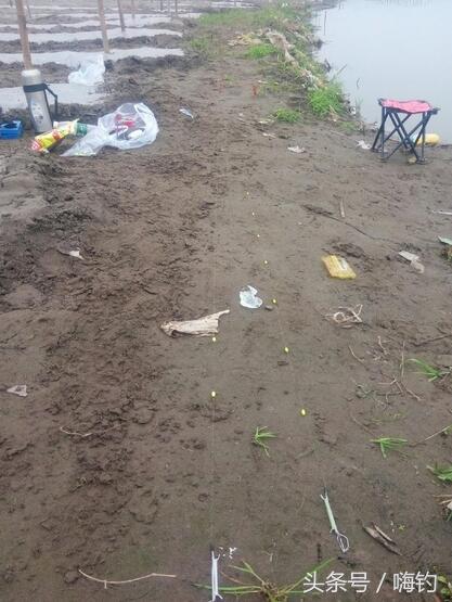 野鲫鱼怎么钓爆护,野钓爆护的几个技巧