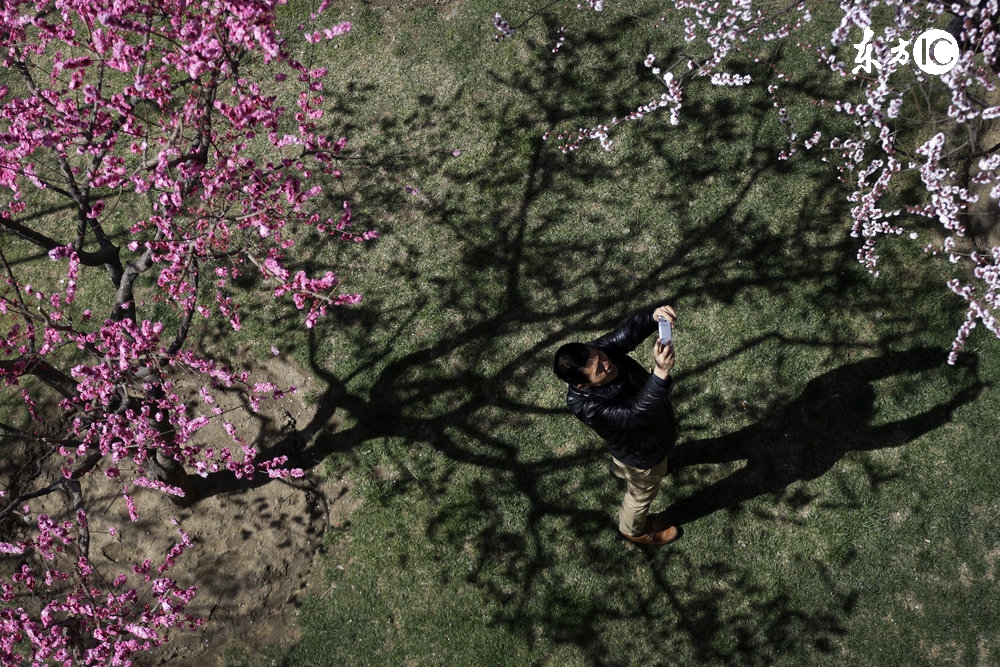 有什么办法和银屑病抗衡,与银屑病相近的皮肤病