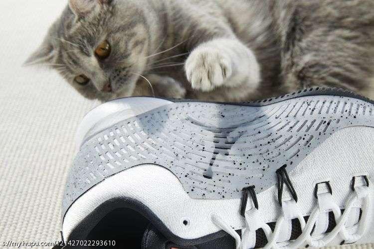 jordancp3配色,jordancp3.x评测