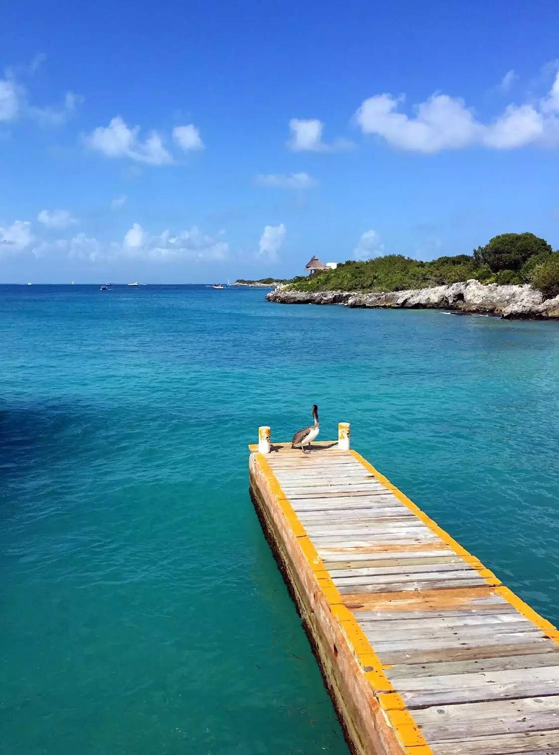 墨西哥坎昆自由行攻略,墨西哥坎昆旅游记