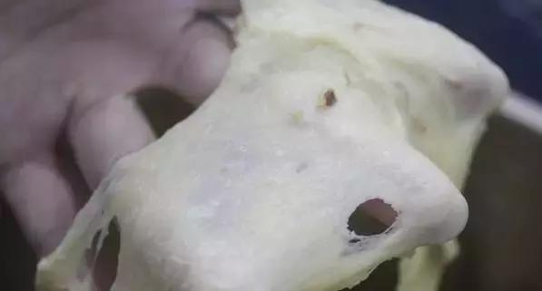 烘焙面包长条做法,烘焙甜面包老面做法