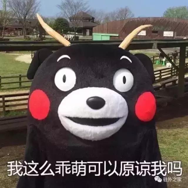 驻外不代购,要你有何用?!