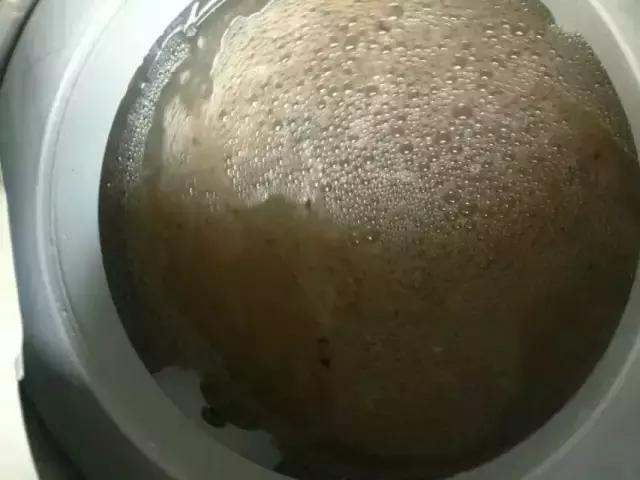 洗衣机内桶大曝光：看似干净的内桶会存在什么样的健康隐患呢？