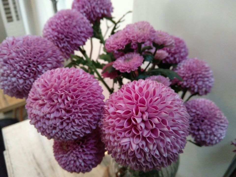 zukedge臻享版续航,zukedge为什么销量不好