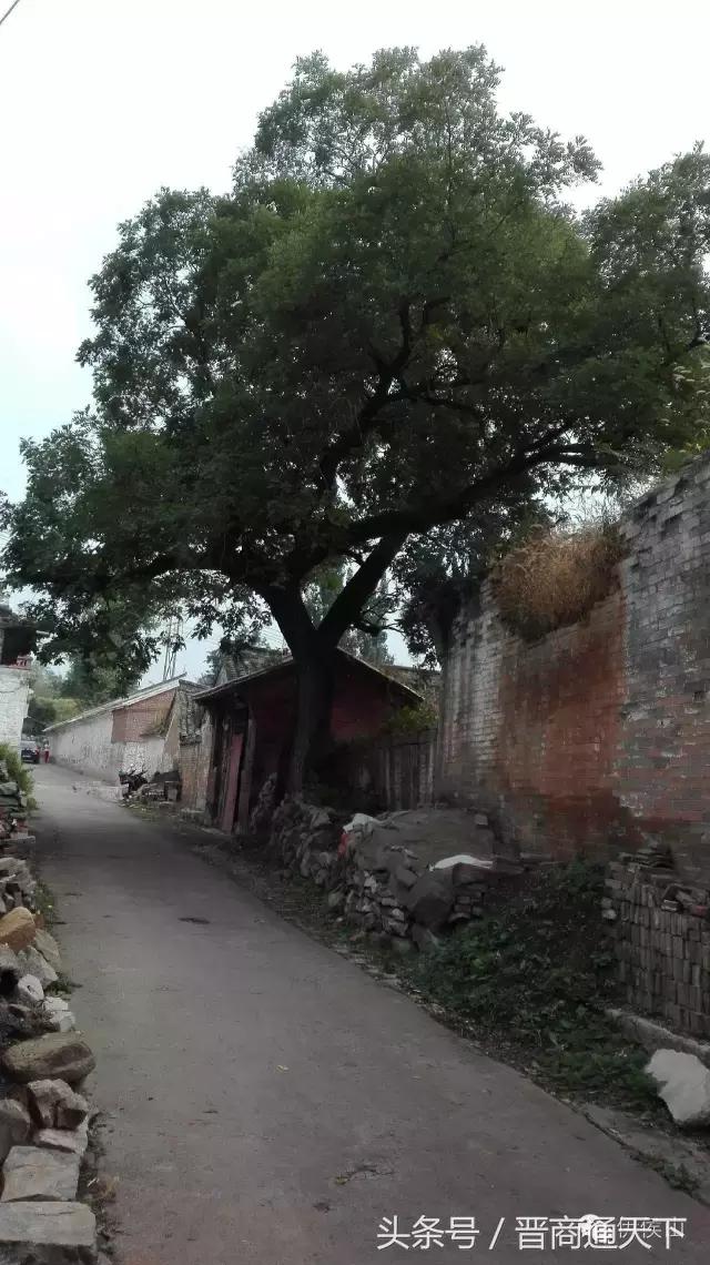 钟灵秀图片,钟灵秀一字马