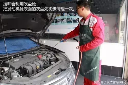 老鼠洞里挖出来花生,老鼠偷花生被发现