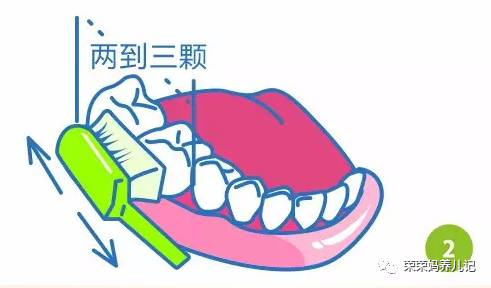 盘点李*荣大**的牙刷军团！其实吧，牙刷并不是重点，怎么刷才是！