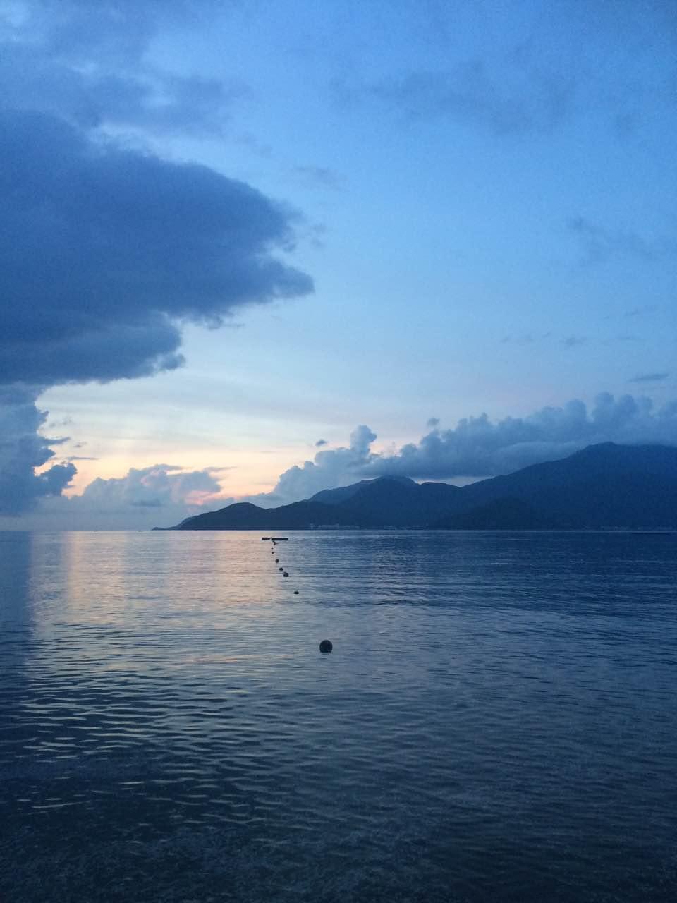 深圳哪里有大片的花海可以欣赏,深圳的花海有多美